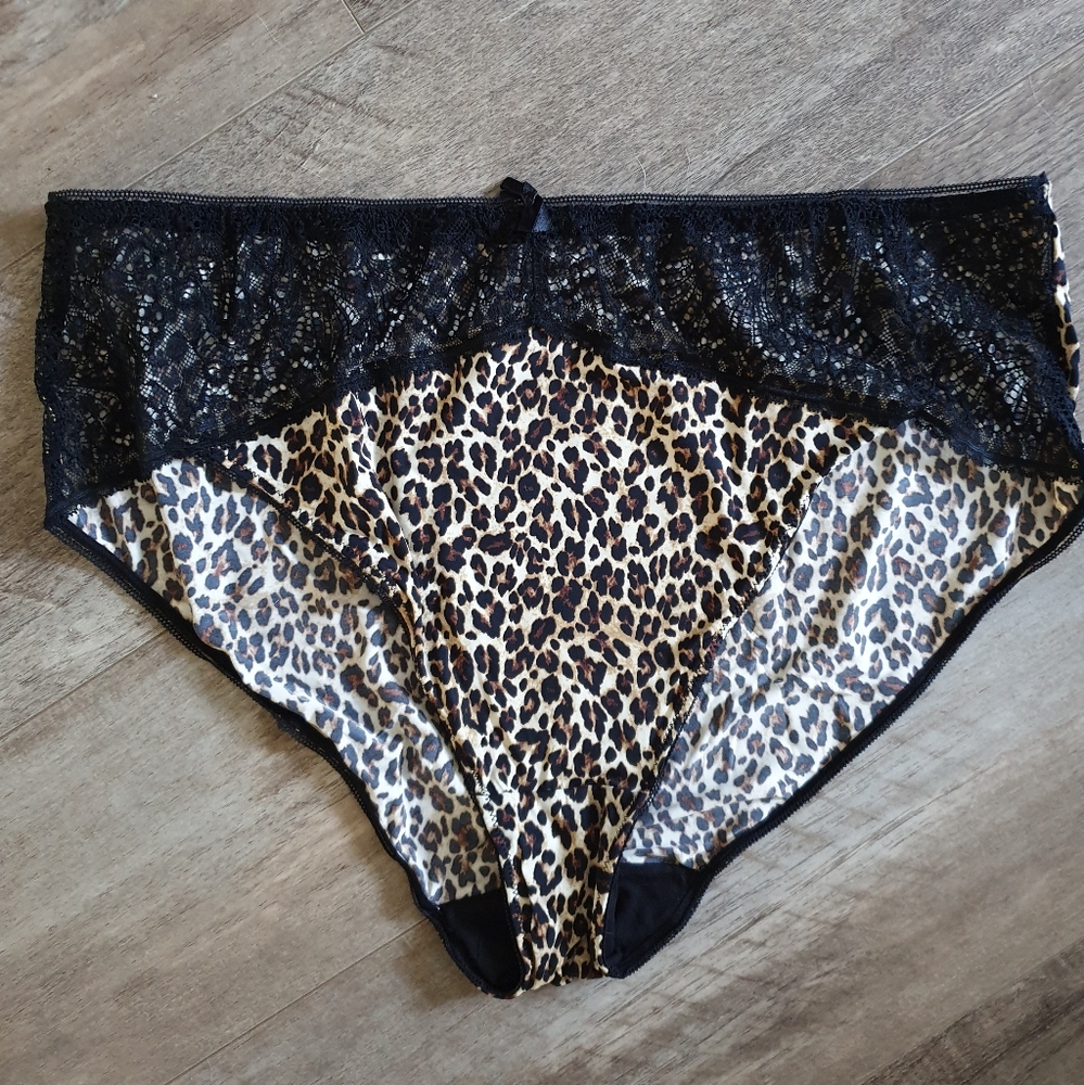 NWOT Déesse panties.